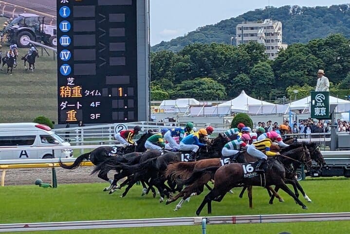 Japanese horse racing private tour in Tokyo! — photo 1