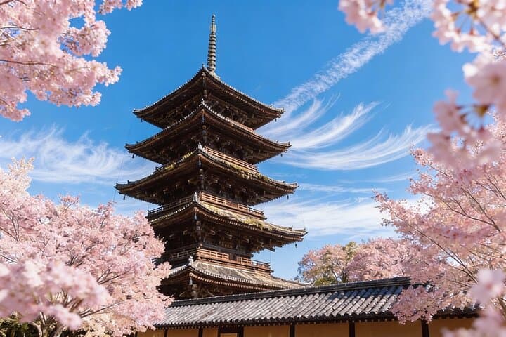 Kyoto's Chronological History(Private Tour) — photo 1