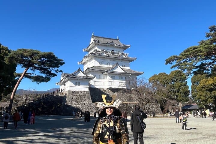 Odawara Castle Sightseeing Tour by Shinkansen — photo 9