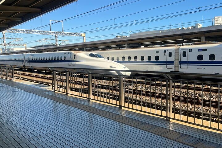 Odawara Castle Sightseeing Tour by Shinkansen — photo 11