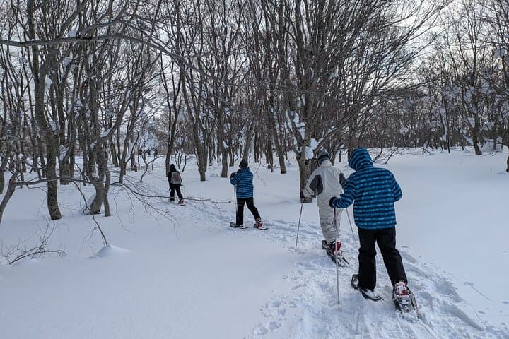 Hakkoda Area Snowshoe Adventure Tour — photo 2