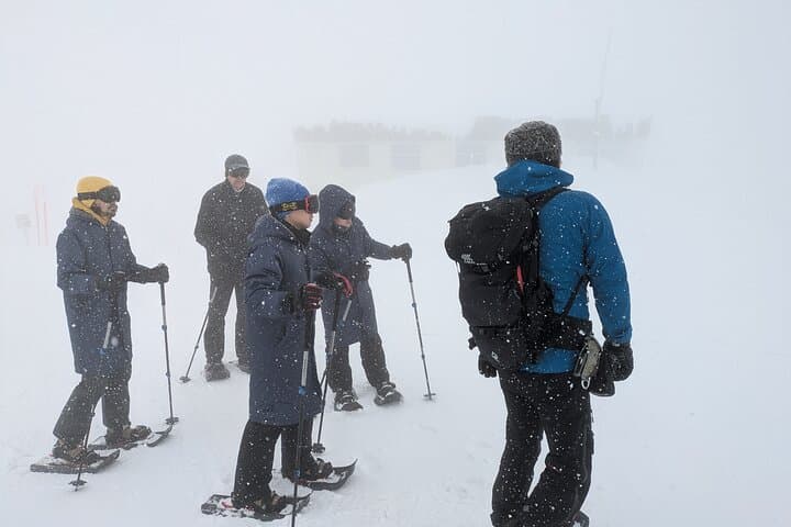 Hakkoda Area Snowshoe Adventure Tour — photo 3