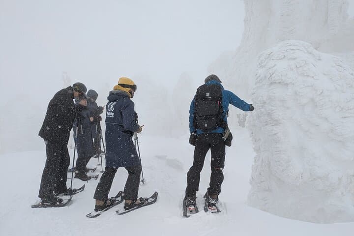 Hakkoda Area Snowshoe Adventure Tour — photo 4