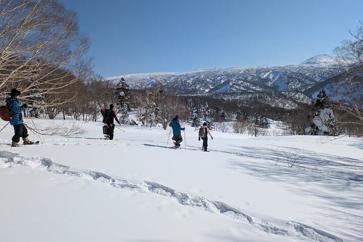 Hakkoda Area Snowshoe Adventure Tour — photo 7