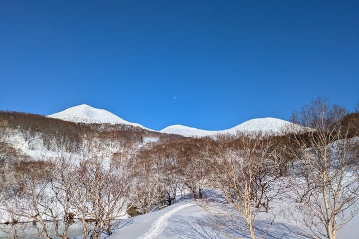 Hakkoda Area Snowshoe Adventure Tour — photo 10