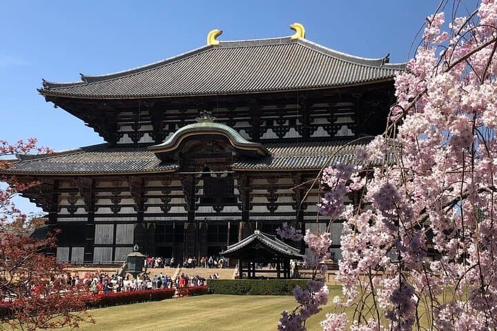 Nara, Osaka & Katsuo-ji Private Tour with English Guide & Vehicle — photo 5