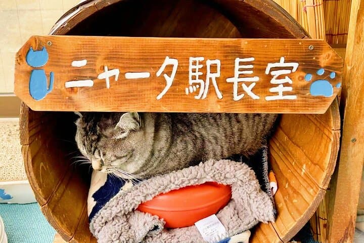 Fukuoka:Dazaifu, Yufuin Village, Beppu Ropeway, Kamado Jigoku — photo 6