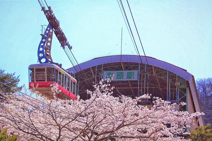 Fukuoka:Dazaifu, Yufuin Village, Beppu Ropeway, Kamado Jigoku — photo 11