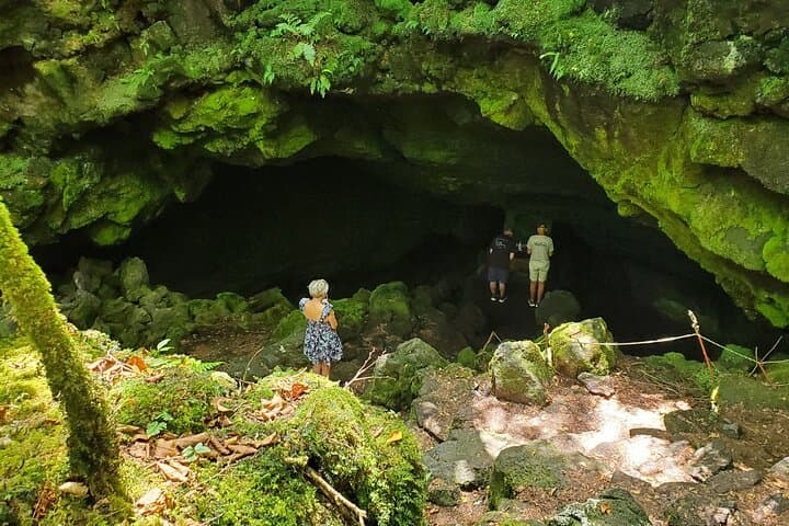 Mt Fuji Aokigahara Forest Adventure Hiking Tour — photo 11