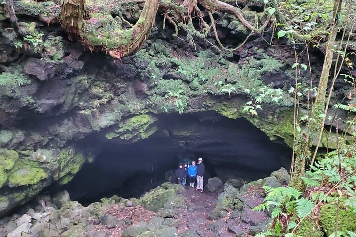Mt Fuji Aokigahara Forest Adventure Hiking Tour — photo 19