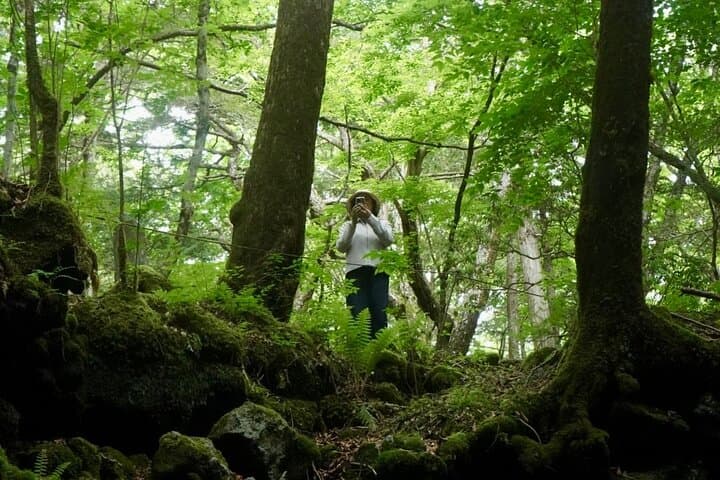 Mt Fuji Aokigahara Forest Adventure Hiking Tour — photo 7