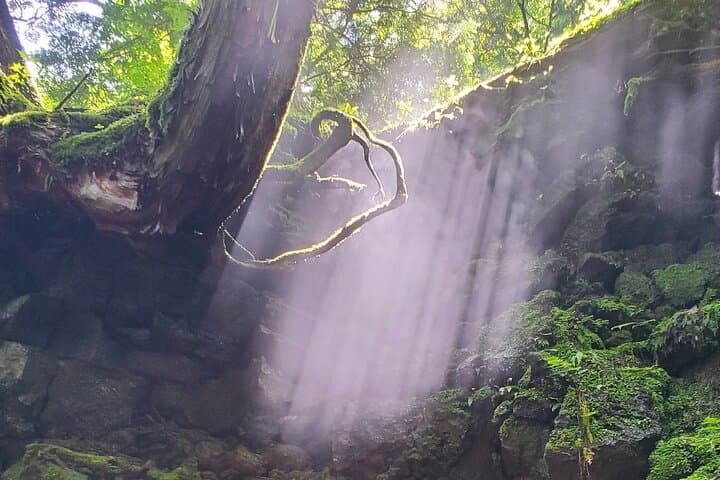 Mt Fuji Aokigahara Forest Adventure Hiking Tour — photo 9