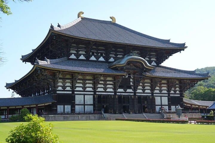 Nara Early Morning Group Tour from Kyoto or Osaka — photo 1