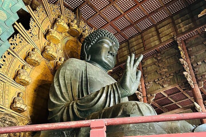 Nara Early Morning Group Tour from Kyoto or Osaka — photo 8