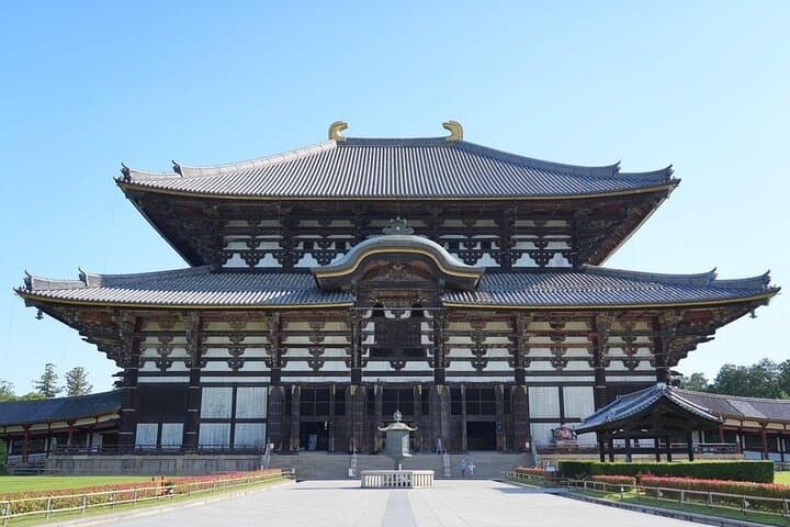 Nara Early Morning Group Tour from Kyoto or Osaka — photo 5