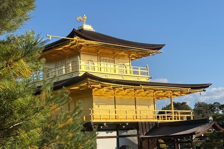 Kyoto&Nara Day Tour | English Guide & Private Vehicle — photo 2