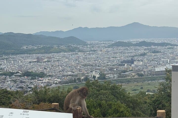 Kyoto&Nara Day Tour | English Guide & Private Vehicle — photo 4