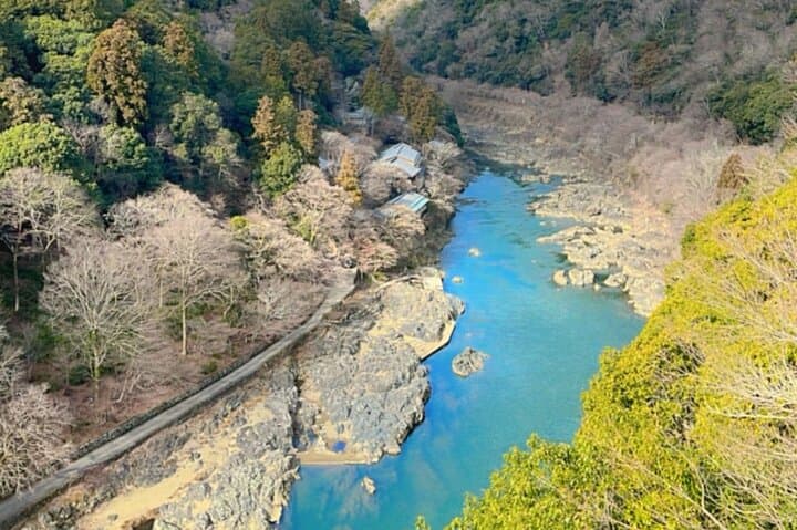 Kyoto&Nara Day Tour | English Guide & Private Vehicle — photo 6