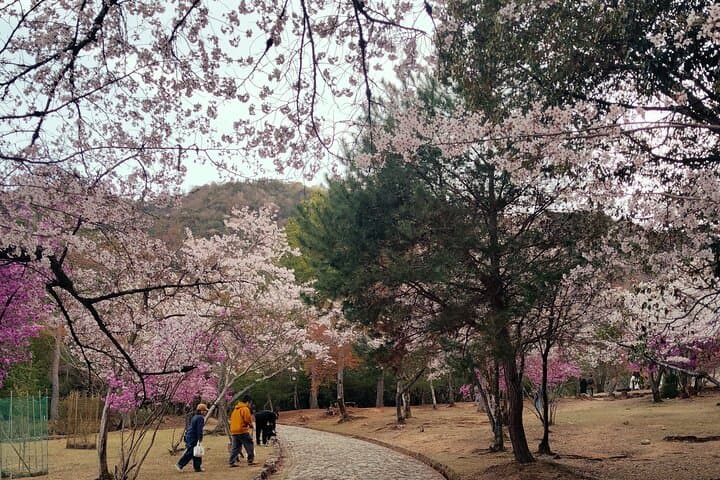 Kyoto&Nara Day Tour | English Guide & Private Vehicle — photo 10