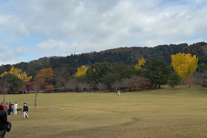 Nara, Osaka & Katsuo-ji Private Tour with English Guide & Vehicle — photo 9