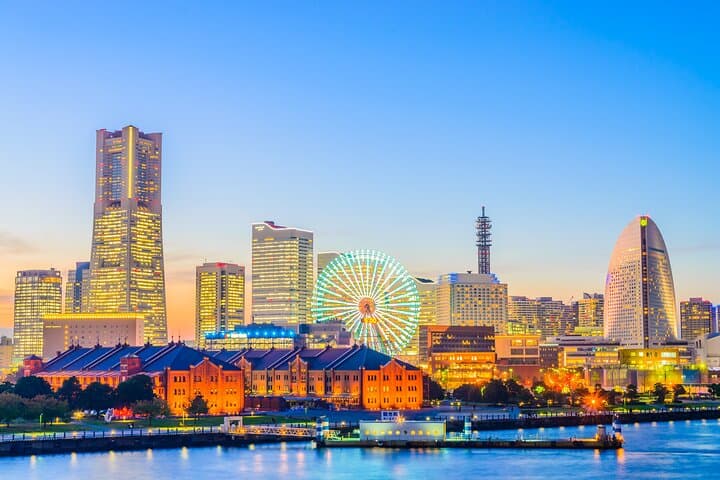 Tokyo:Private Multi-Day Tour(2–5 Days)w/English-Speaking Driver — photo 3