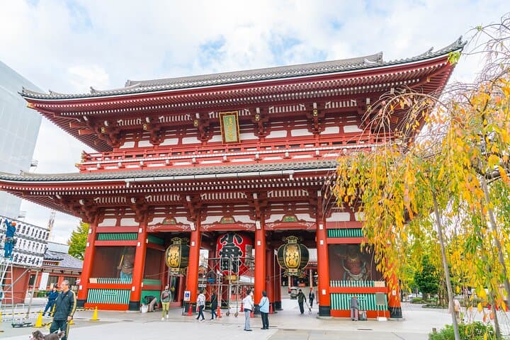 Tokyo:Private Multi-Day Tour(2–5 Days)w/English-Speaking Driver — photo 4