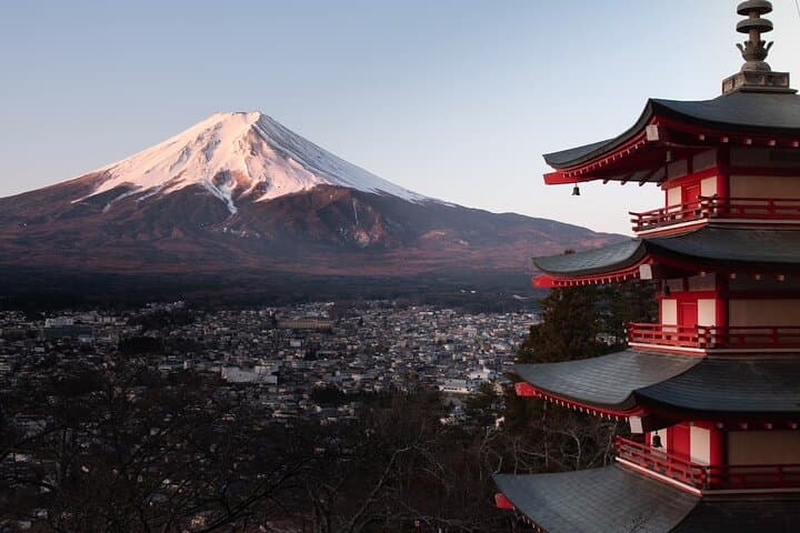 Tokyo:Private Multi-Day Tour(2–5 Days)w/English-Speaking Driver — photo 2