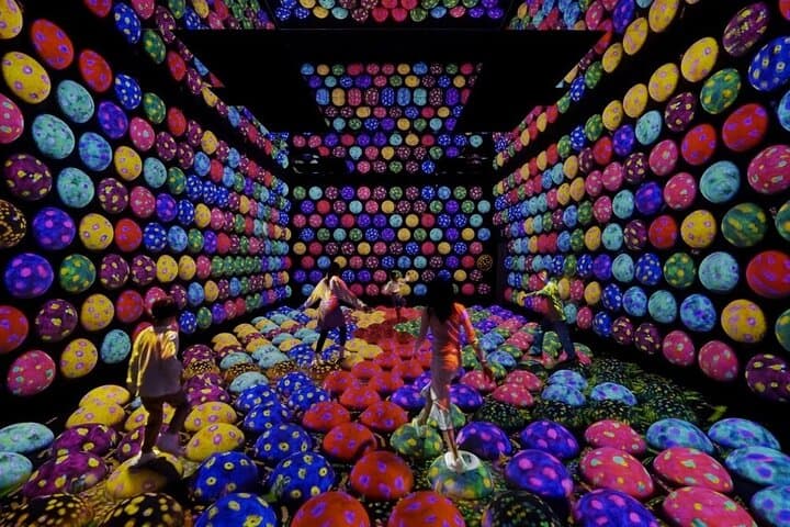 Tokyo:TeamLab Private Transfer with Hotel Pickup & Drop-off — photo 4