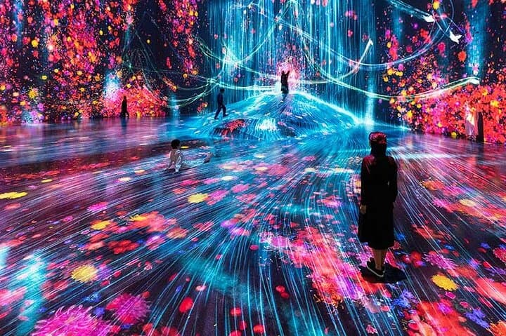 Tokyo:TeamLab Private Transfer with Hotel Pickup & Drop-off — photo 5