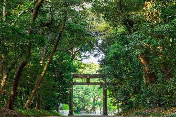 Tokyo Pop Culture & Tradition Tour: Meiji Shrine to Harajuku — photo 1