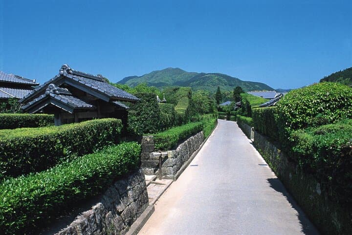 Kagoshima Private Tour for Cruise and International Visitors — photo 5