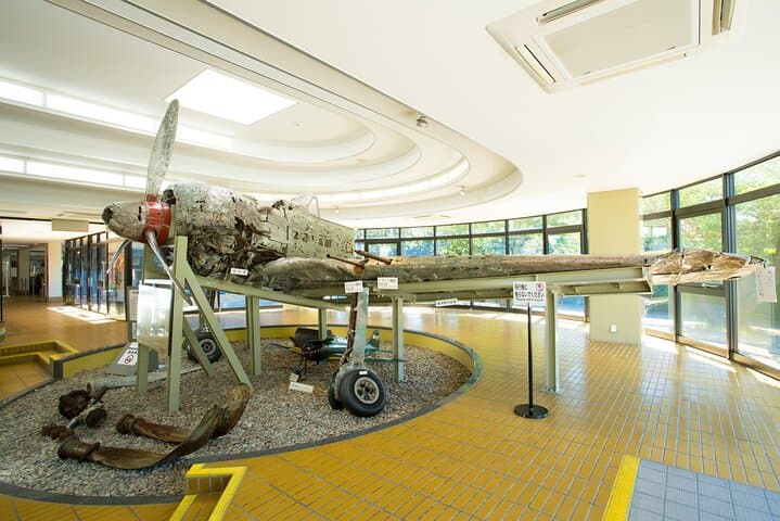 Kagoshima Private Tour for Cruise and International Visitors — photo 6