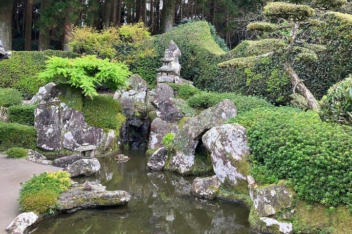 Kagoshima Private Tour for Cruise and International Visitors — photo 11