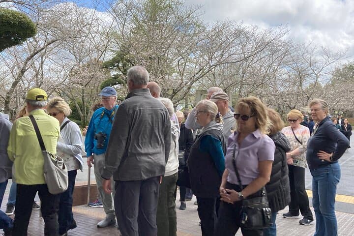 Kagoshima Private Tour for Cruise and International Visitors — photo 15