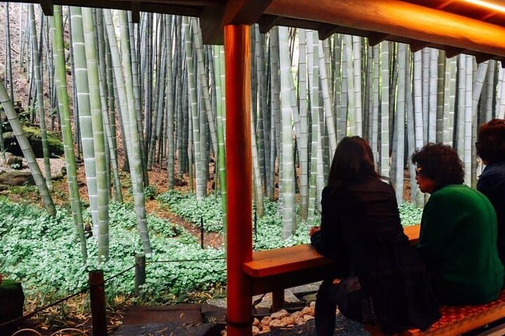 Kamakura & Yokohama Private and Custom Tour with English Driver — photo 20