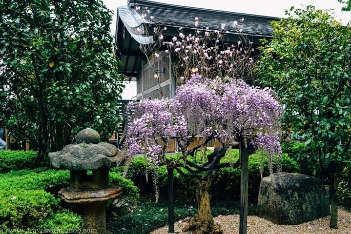 Kamakura & Yokohama Private and Custom Tour with English Driver — photo 17