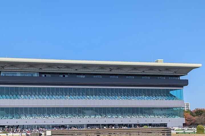 Japanese horse racing private tour in Tokyo! — photo 12