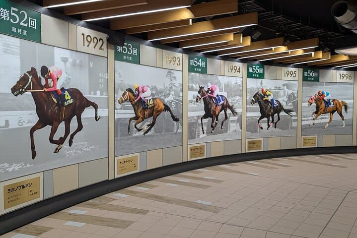 Japanese horse racing private tour in Tokyo! — photo 17