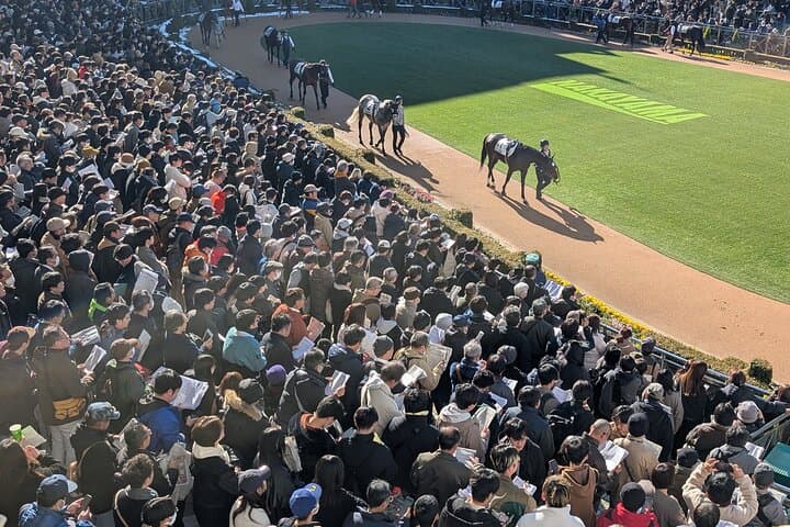 Japanese horse racing private tour in Tokyo! — photo 18