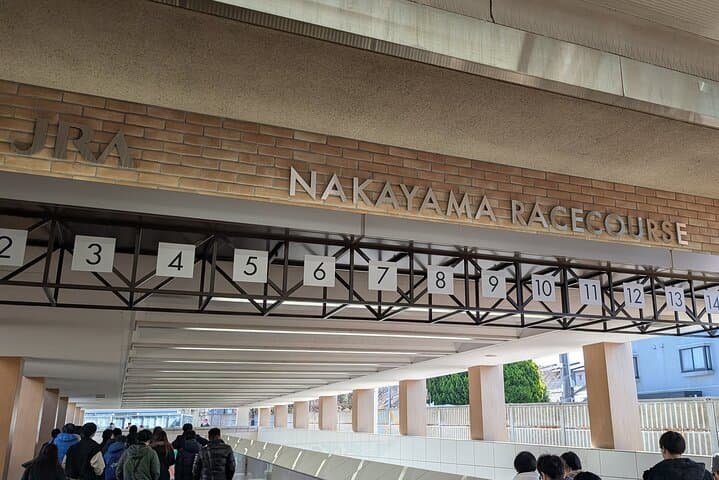 Japanese horse racing private tour in Tokyo! — photo 16
