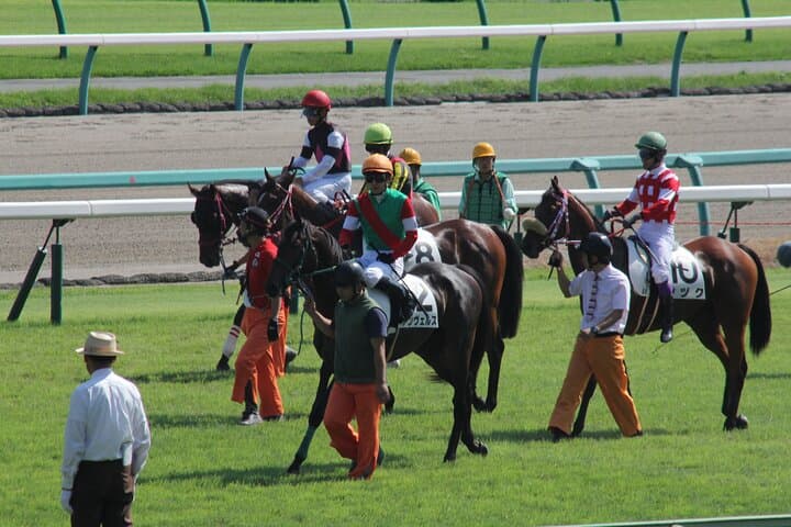Japanese horse racing private tour in Tokyo! — photo 20