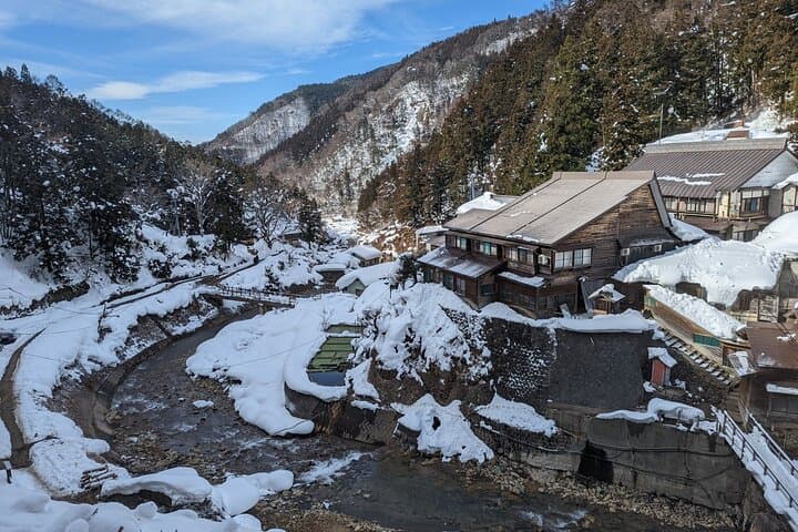 Nagano: Snow Monkeys of Jigokudani Guided Tour — photo 8