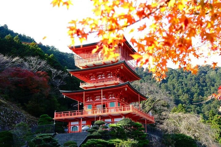 UNESCO KumanoKodo: Complete3Grand Shrines & Nachi Falls Day Trip — photo 7