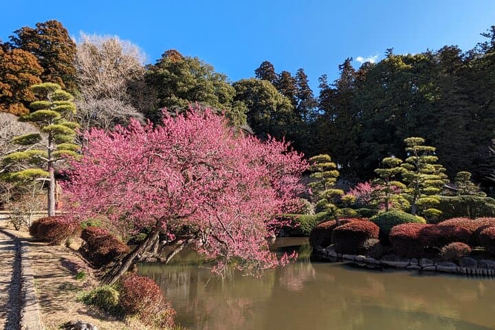 Ibaraki: Kairakuen, One of Japan’s Three Great Gardens — photo 10