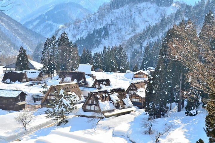Cultural Heritage Tour Shirakawa Go and Takayama from Nagoya — photo 8