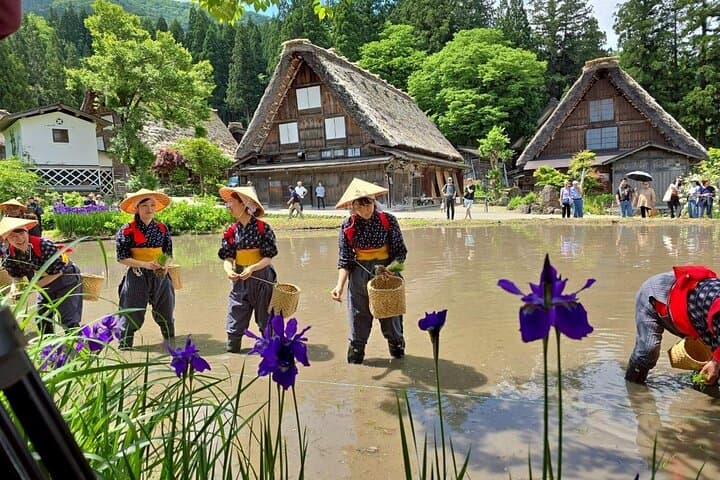 Cultural Heritage Tour Shirakawa Go and Takayama from Nagoya — photo 10