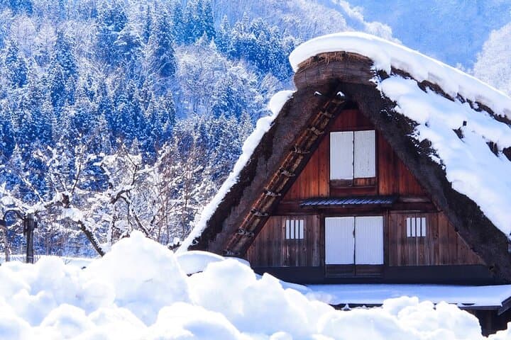 Cultural Heritage Tour Shirakawa Go and Takayama from Nagoya — photo 11