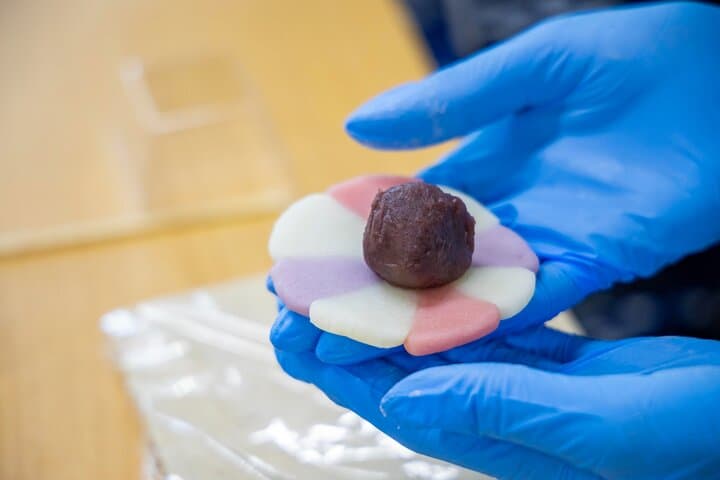 Tokyo Hands on Wagashi Making Class in Ginza — photo 5