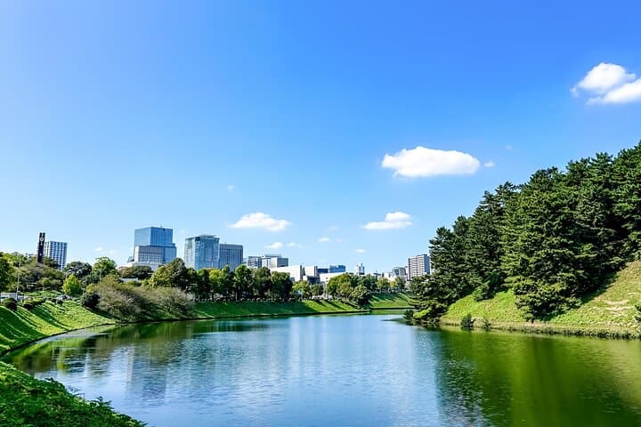 Tokyo Running Tour Imperial Palace Meiji Shrine or Toyosu — photo 4