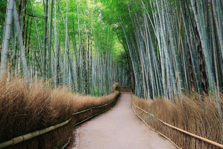 Tokyo, Mt. Fuji, Kyoto and Nara 6 Days Private Tour — photo 7